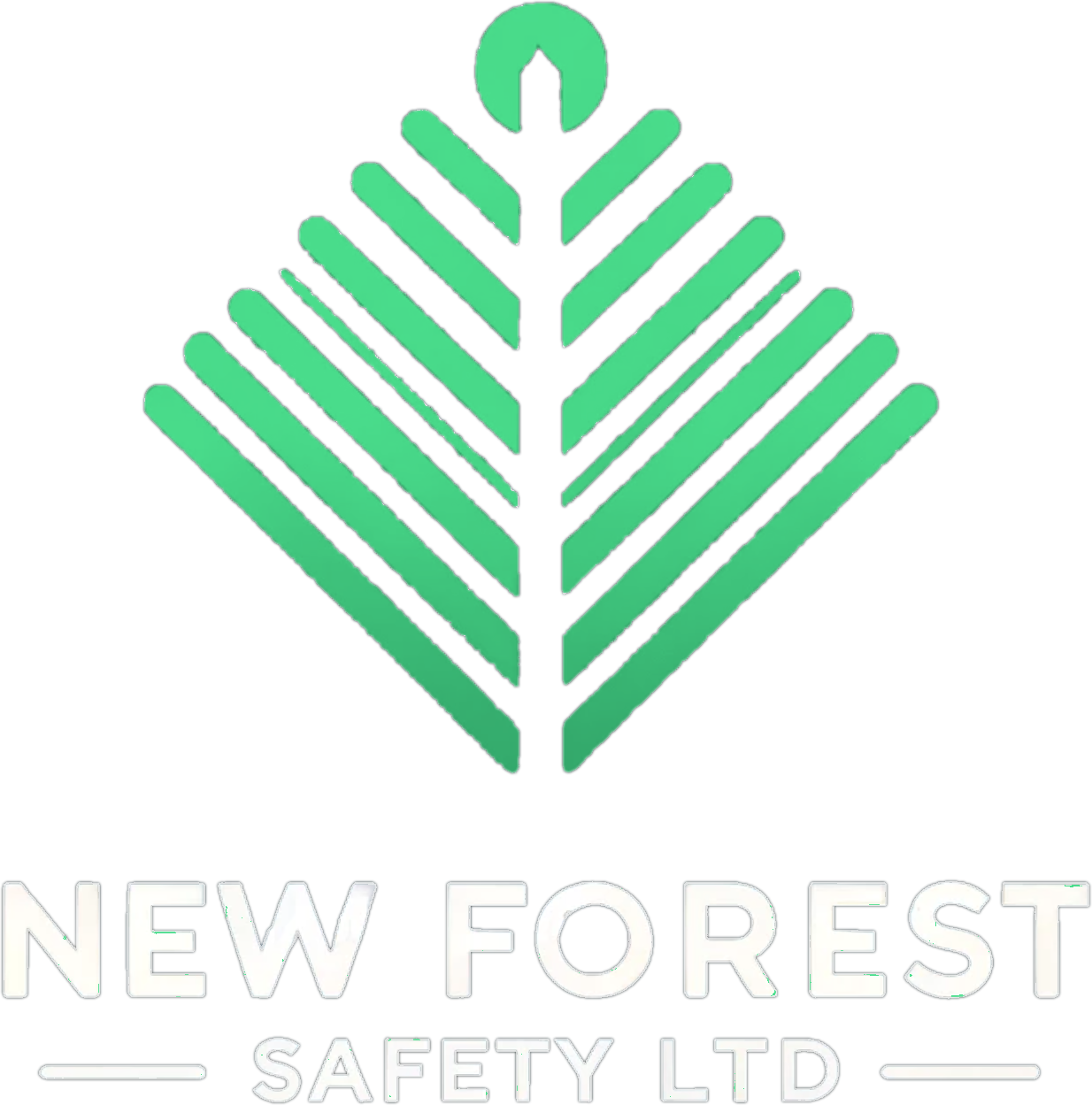 New Forest Safety Ltd